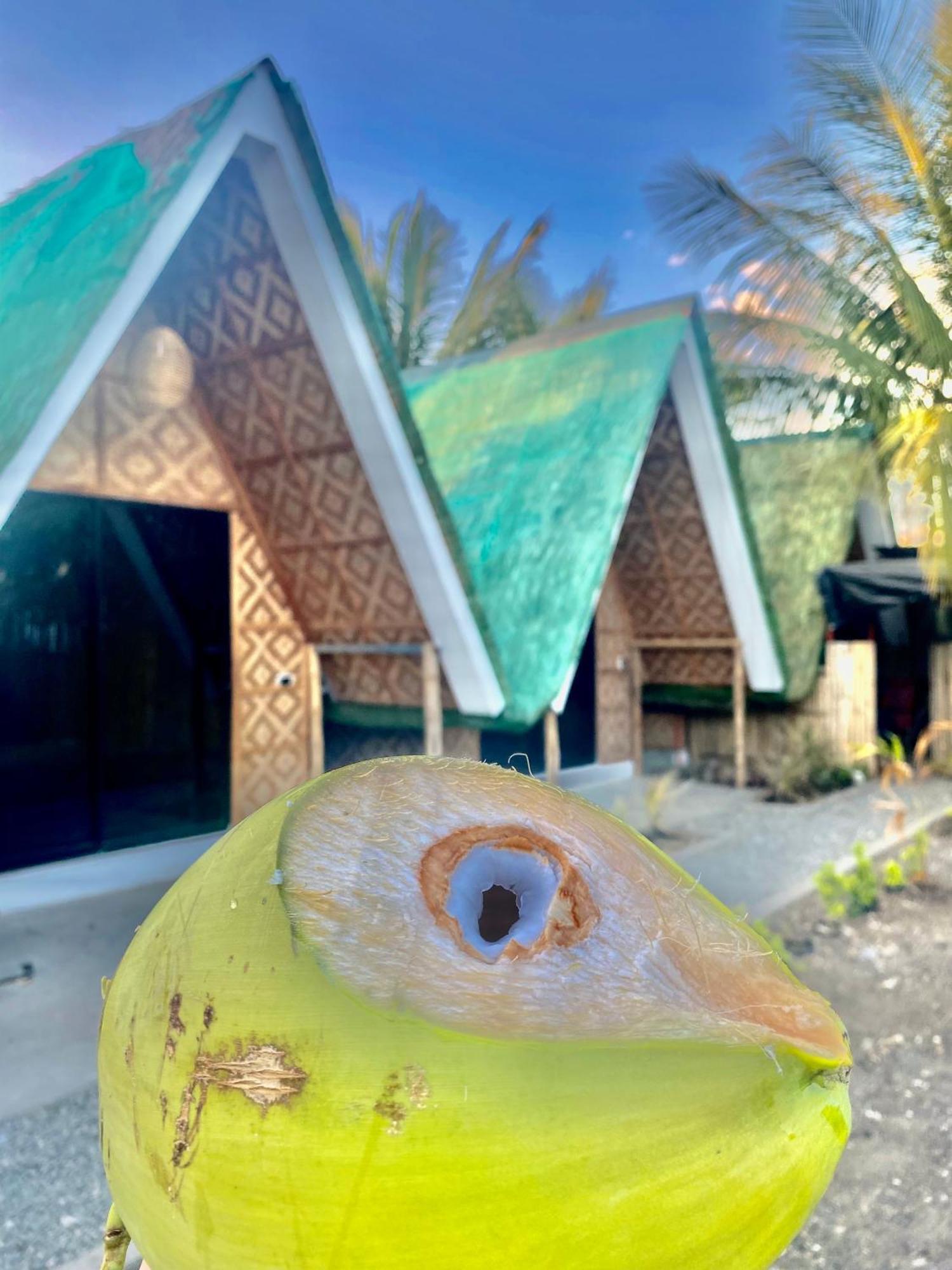 Villa Lovi Panagsama Beach Moalboal Dış mekan fotoğraf